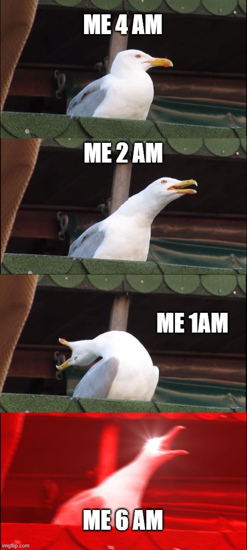 gu | ME 4 AM; ME 2 AM; ME 1AM; ME 6 AM | image tagged in memes,inhaling seagull | made w/ Imgflip meme maker