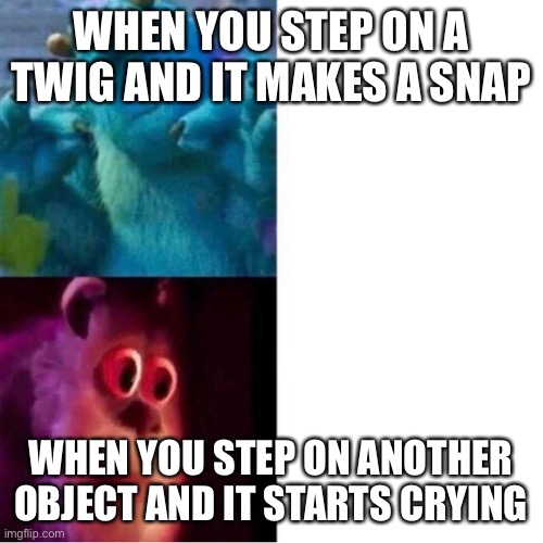 Monsters Inc |  WHEN YOU STEP ON A TWIG AND IT MAKES A SNAP; WHEN YOU STEP ON ANOTHER OBJECT AND IT STARTS CRYING | image tagged in monsters inc | made w/ Imgflip meme maker