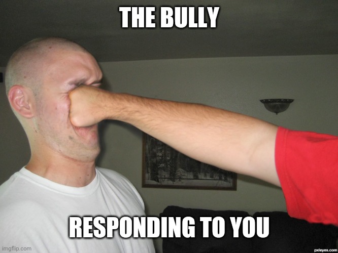 Face punch | THE BULLY RESPONDING TO YOU | image tagged in face punch | made w/ Imgflip meme maker