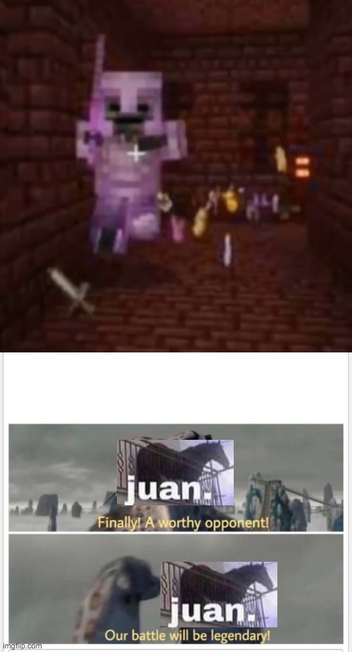 a meme i made based on a conversation in a discord server | image tagged in finally a worthy opponent,juan,wither skelly,netherite,i think,memes | made w/ Imgflip meme maker