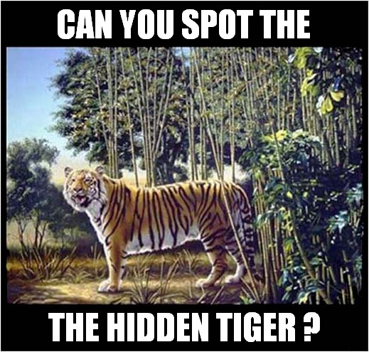 Spot The Second Tiger ! | CAN YOU SPOT THE; THE HIDDEN TIGER ? | image tagged in fun,illusion,tiger | made w/ Imgflip meme maker