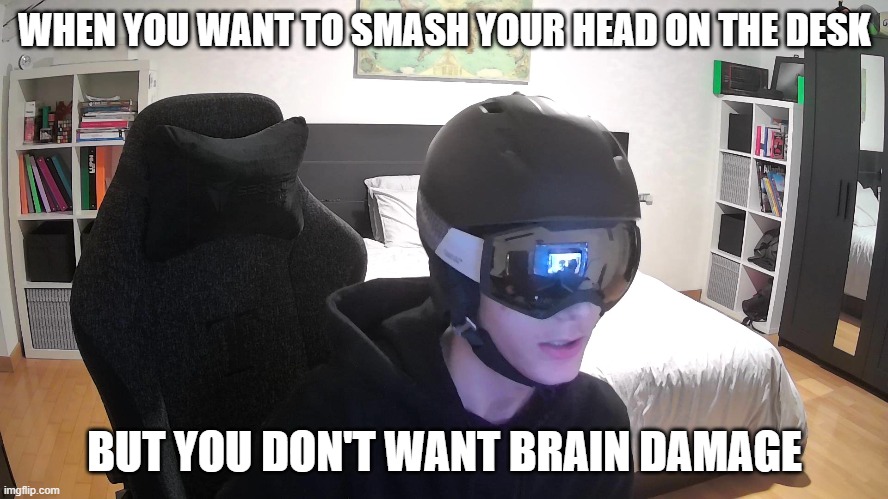 when you're really angry | WHEN YOU WANT TO SMASH YOUR HEAD ON THE DESK; BUT YOU DON'T WANT BRAIN DAMAGE | image tagged in funny,gaming | made w/ Imgflip meme maker