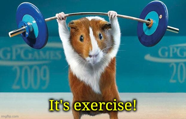Funny exercise  | It's exercise! | image tagged in funny exercise | made w/ Imgflip meme maker