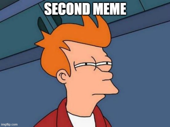 Second Meme | SECOND MEME | image tagged in memes,futurama fry | made w/ Imgflip meme maker