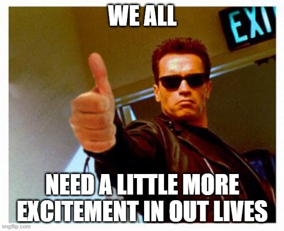 terminator thumbs up | WE ALL; NEED A LITTLE MORE EXCITEMENT IN OUT LIVES | image tagged in terminator thumbs up | made w/ Imgflip meme maker