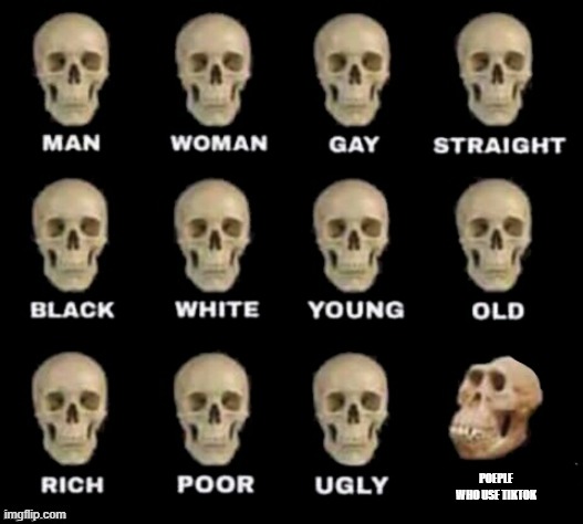 idiot skull | POEPLE WHO USE TIKTOK | image tagged in idiot skull | made w/ Imgflip meme maker