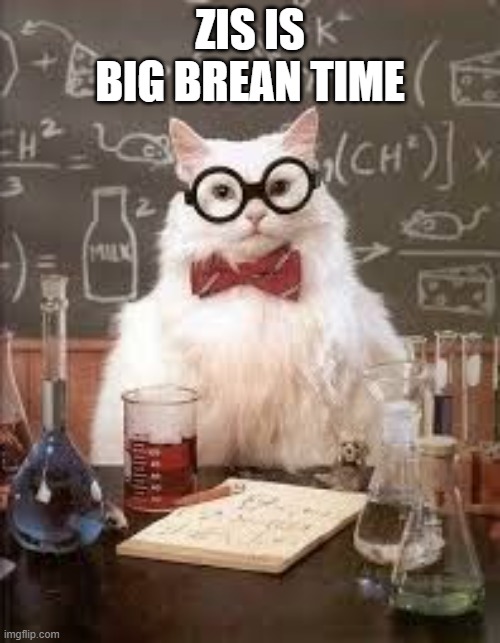 SMART CAT | ZIS IS BIG BREAN TIME | image tagged in smart cat | made w/ Imgflip meme maker