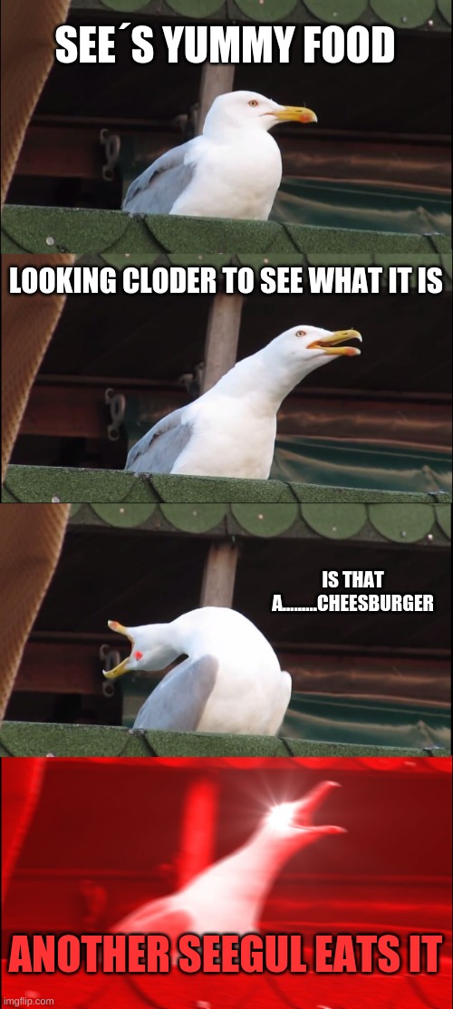 Inhaling Seagull | SEE´S YUMMY FOOD; LOOKING CLODER TO SEE WHAT IT IS; IS THAT A.........CHEESBURGER; . ANOTHER SEEGUL EATS IT | image tagged in memes,inhaling seagull | made w/ Imgflip meme maker