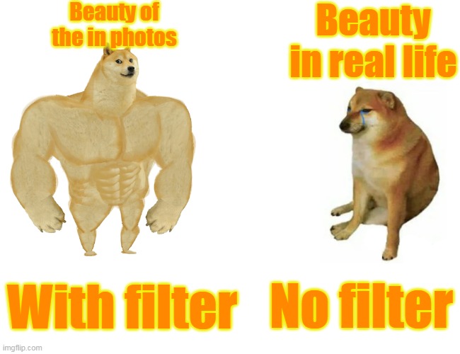 Buff Doge vs. Cheems | Beauty of the in photos; Beauty in real life; No filter; With filter | image tagged in memes,buff doge vs cheems,social media,dogs,funny,funny dogs | made w/ Imgflip meme maker