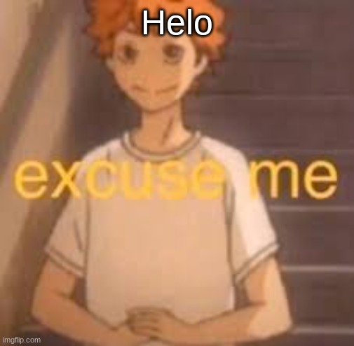 excuse me | Helo | image tagged in excuse me | made w/ Imgflip meme maker