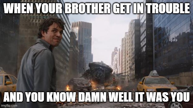 Hulk | WHEN YOUR BROTHER GET IN TROUBLE; AND YOU KNOW DAMN WELL IT WAS YOU | image tagged in hulk | made w/ Imgflip meme maker