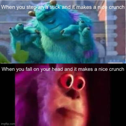When you step an a stick and it makes a nice crunch; When you fall on your head and it makes a nice crunch | image tagged in snap,ahhhhhhhhhhhhh,reeeeeeeeeeeeeeeeeeeeee | made w/ Imgflip meme maker