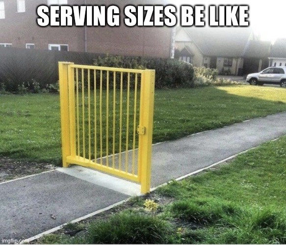 Useless gate | SERVING SIZES BE LIKE | image tagged in useless gate | made w/ Imgflip meme maker