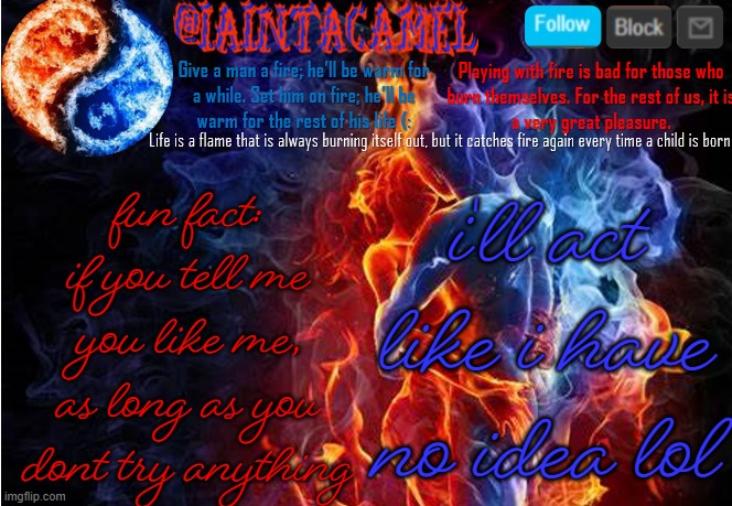 because yes i no like losing frens | i'll act like i have no idea lol; fun fact: if you tell me you like me, as long as you dont try anything | image tagged in iaintacamel | made w/ Imgflip meme maker