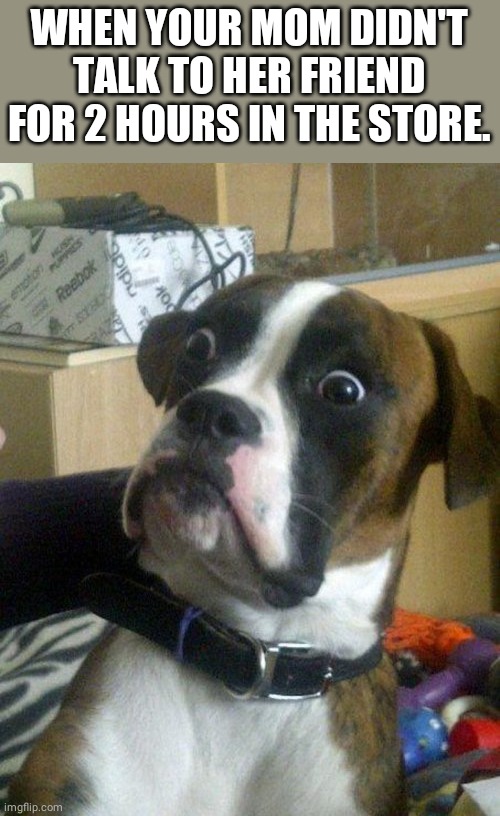 shocked doggy | WHEN YOUR MOM DIDN'T TALK TO HER FRIEND FOR 2 HOURS IN THE STORE. | image tagged in shocked doggy | made w/ Imgflip meme maker