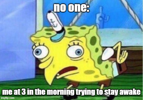 Mocking Spongebob |  no one:; me at 3 in the morning trying to stay awake | image tagged in memes,mocking spongebob | made w/ Imgflip meme maker