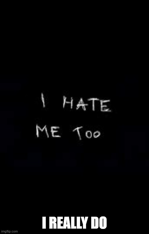 I hate me too | I REALLY DO | image tagged in i hate me too | made w/ Imgflip meme maker