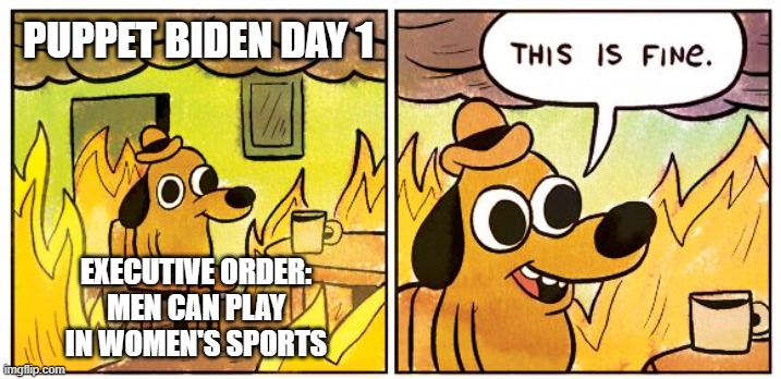 This Is Fine Meme | PUPPET BIDEN DAY 1; EXECUTIVE ORDER:
MEN CAN PLAY IN WOMEN'S SPORTS | image tagged in memes,this is fine | made w/ Imgflip meme maker