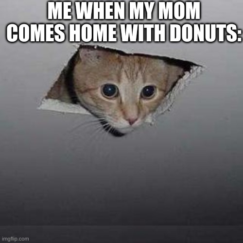 Ceiling Cat | ME WHEN MY MOM COMES HOME WITH DONUTS: | image tagged in memes,ceiling cat | made w/ Imgflip meme maker