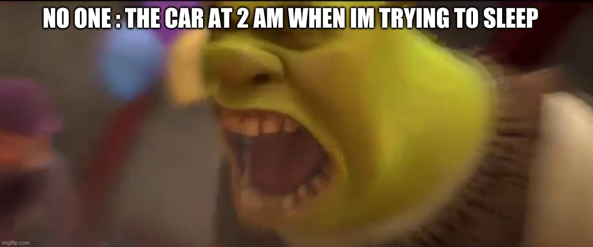 Shrek Screaming |  NO ONE : THE CAR AT 2 AM WHEN IM TRYING TO SLEEP | image tagged in shrek screaming | made w/ Imgflip meme maker