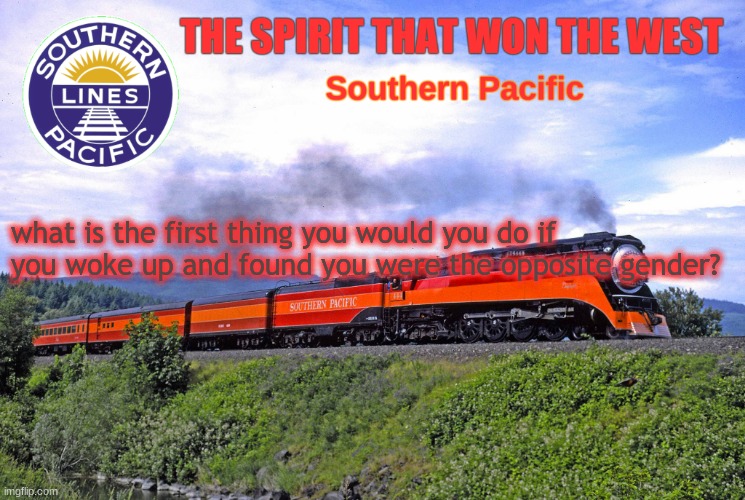 SP2 | what is the first thing you would you do if you woke up and found you were the opposite gender? | image tagged in sp2 | made w/ Imgflip meme maker