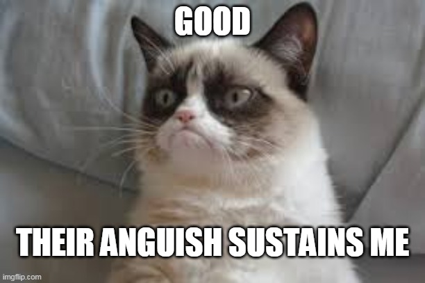 grumpy cat good | GOOD; THEIR ANGUISH SUSTAINS ME | image tagged in grumpy cat,good,theiranguishsustainsme | made w/ Imgflip meme maker