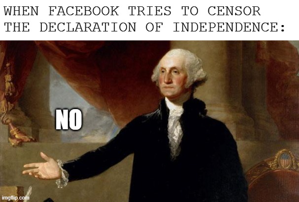 george washington | WHEN FACEBOOK TRIES TO CENSOR THE DECLARATION OF INDEPENDENCE: NO | image tagged in george washington | made w/ Imgflip meme maker