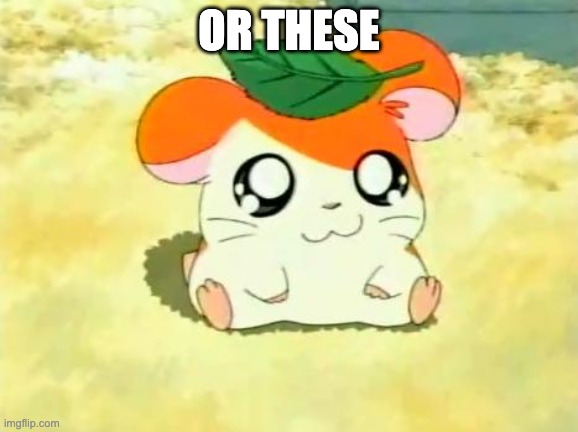 Hamtaro Meme | OR THESE | image tagged in memes,hamtaro | made w/ Imgflip meme maker