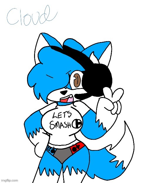 i changed the name cause danny found it | image tagged in dont search this template up | made w/ Imgflip meme maker