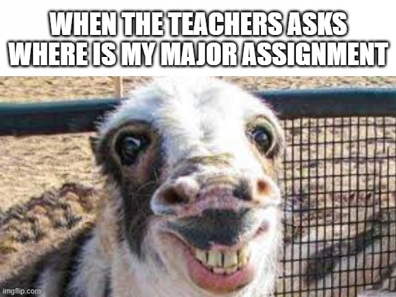 when you forget it... | WHEN THE TEACHERS ASKS WHERE IS MY MAJOR ASSIGNMENT | image tagged in school meme,embarrassing | made w/ Imgflip meme maker