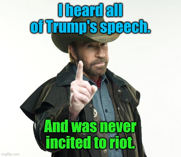 Chuck Norris Finger |  I heard all of Trump's speech. And was never incited to riot. | image tagged in memes,chuck norris finger,chuck norris | made w/ Imgflip meme maker