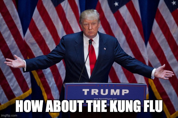 Donald Trump | HOW ABOUT THE KUNG FLU | image tagged in donald trump | made w/ Imgflip meme maker