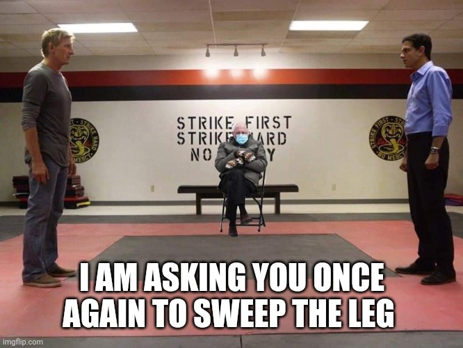 Bernie | I AM ASKING YOU ONCE AGAIN TO SWEEP THE LEG | image tagged in funny | made w/ Imgflip meme maker