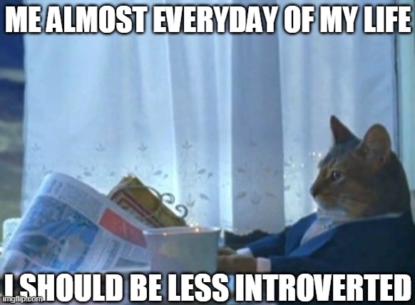 I Should Buy A Boat Cat | ME ALMOST EVERYDAY OF MY LIFE; I SHOULD BE LESS INTROVERTED | image tagged in memes,i should buy a boat cat | made w/ Imgflip meme maker