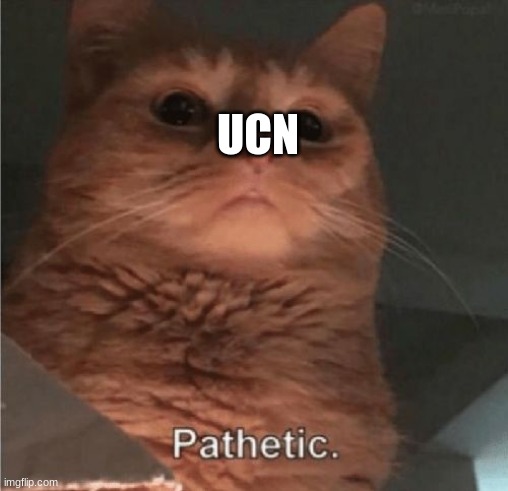 Pathetic Cat | UCN | image tagged in pathetic cat | made w/ Imgflip meme maker