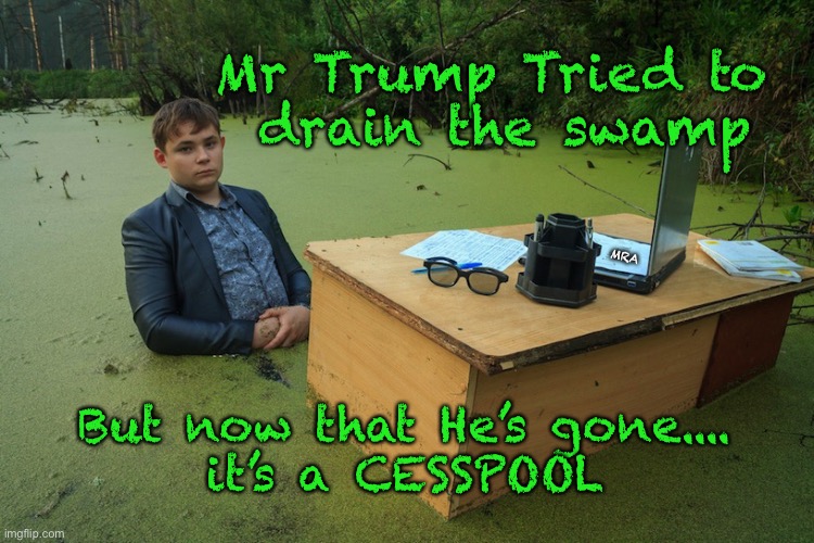 Swamp Boy | Mr Trump Tried to 
drain the swamp; MRA; But now that He’s gone....
it’s a CESSPOOL | image tagged in swamp boy | made w/ Imgflip meme maker