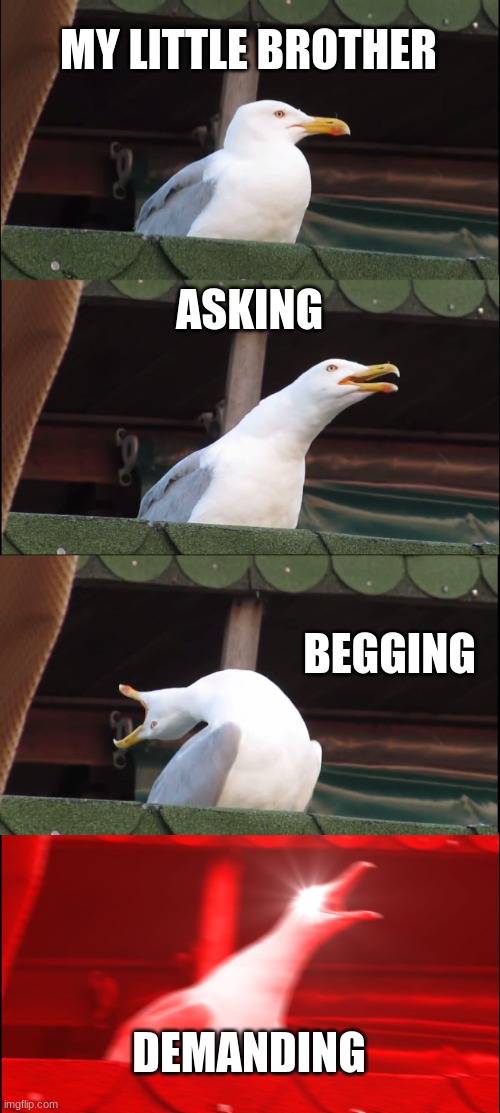 Inhaling Seagull | MY LITTLE BROTHER; ASKING; BEGGING; DEMANDING | image tagged in memes,inhaling seagull | made w/ Imgflip meme maker