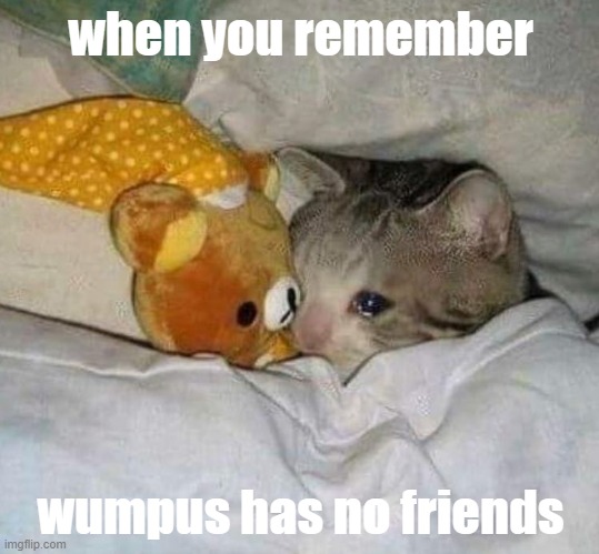 cats rule dogs drool | when you remember; wumpus has no friends | image tagged in crying cat,discord,wumpus | made w/ Imgflip meme maker