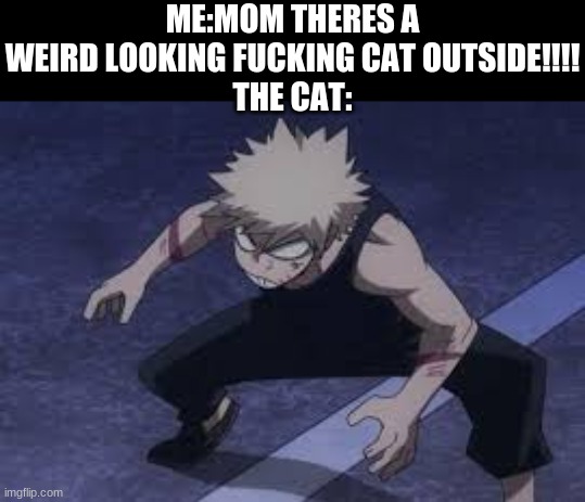 Bakugo looks like a weird fckn' cat XDDDDDDD | ME:MOM THERES A WEIRD LOOKING FUCKING CAT OUTSIDE!!!!
THE CAT: | image tagged in bakugo,totally looks like,wierd,fucking,cat | made w/ Imgflip meme maker