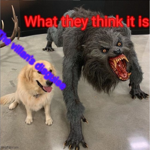 How does nobody notice! | What they think it is; The villan's disguise | image tagged in dog vs werewolf,villains,disguise | made w/ Imgflip meme maker