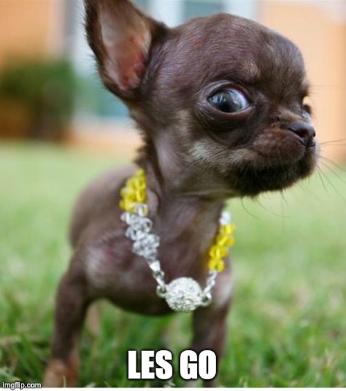 It's GO Time! | LES GO | image tagged in it's go time | made w/ Imgflip meme maker
