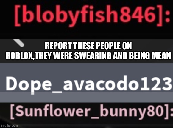 REPORT THESE PEOPLE ON ROBLOX,THEY WERE SWEARING AND BEING MEAN | image tagged in report | made w/ Imgflip meme maker