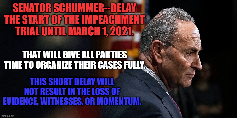 Justice Will Be Served. | SENATOR SCHUMMER--DELAY THE START OF THE IMPEACHMENT TRIAL UNTIL MARCH 1, 2021. THAT WILL GIVE ALL PARTIES TIME TO ORGANIZE THEIR CASES FULLY. THIS SHORT DELAY WILL NOT RESULT IN THE LOSS OF EVIDENCE, WITNESSES, OR MOMENTUM. | image tagged in politics | made w/ Imgflip meme maker