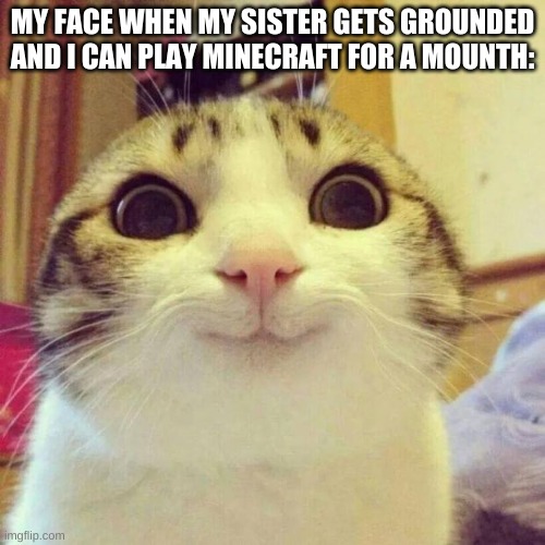 Smiling Cat | MY FACE WHEN MY SISTER GETS GROUNDED AND I CAN PLAY MINECRAFT FOR A MOUNTH: | image tagged in memes,smiling cat | made w/ Imgflip meme maker
