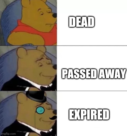 Fancy pooh | DEAD; PASSED AWAY; EXPIRED | image tagged in fancy pooh | made w/ Imgflip meme maker