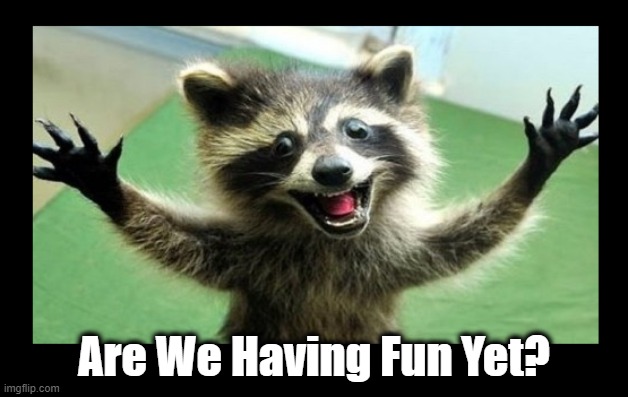 Well... Are We? | Are We Having Fun Yet? | image tagged in raccoon,fun,are we having fun yet | made w/ Imgflip meme maker