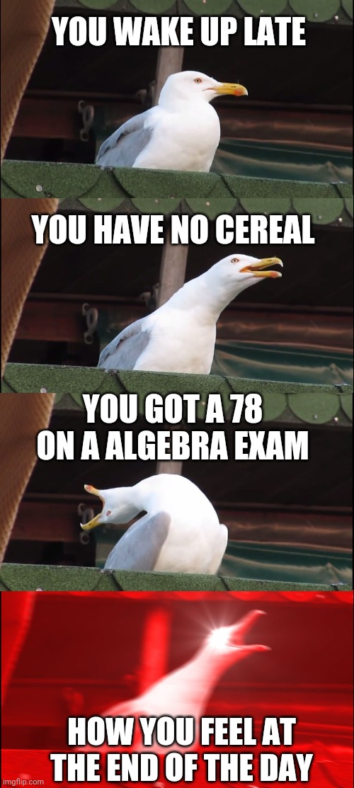 Actually my day today | YOU WAKE UP LATE; YOU HAVE NO CEREAL; YOU GOT A 78 ON A ALGEBRA EXAM; HOW YOU FEEL AT THE END OF THE DAY | image tagged in memes,inhaling seagull | made w/ Imgflip meme maker