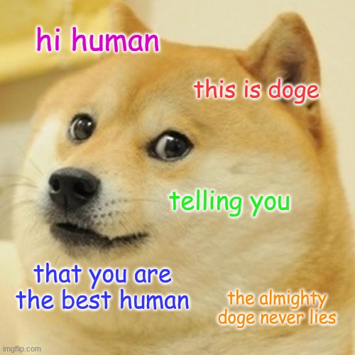 I don't know why I made this ? | hi human; this is doge; telling you; that you are the best human; the almighty doge never lies | image tagged in memes,doge | made w/ Imgflip meme maker