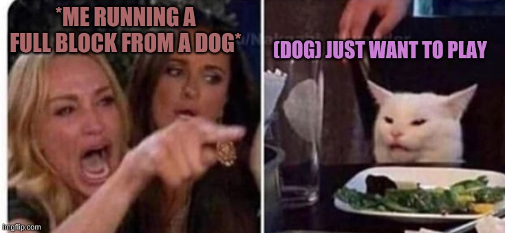 Cat at table | (DOG) JUST WANT TO PLAY; *ME RUNNING A FULL BLOCK FROM A DOG* | image tagged in cat at table | made w/ Imgflip meme maker