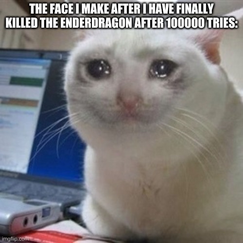 Crying cat | THE FACE I MAKE AFTER I HAVE FINALLY KILLED THE ENDERDRAGON AFTER 100000 TRIES: | image tagged in crying cat | made w/ Imgflip meme maker